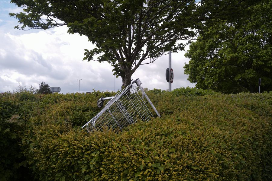 trolley in a bush