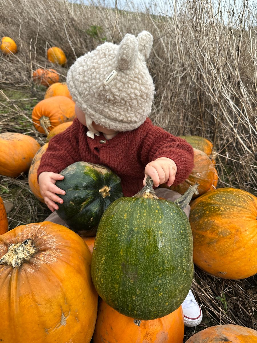 Pumpkin